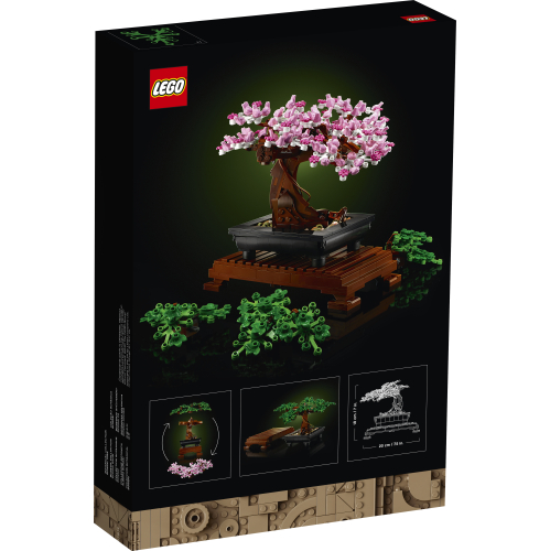 LEGO 10281 - obrazek 2
