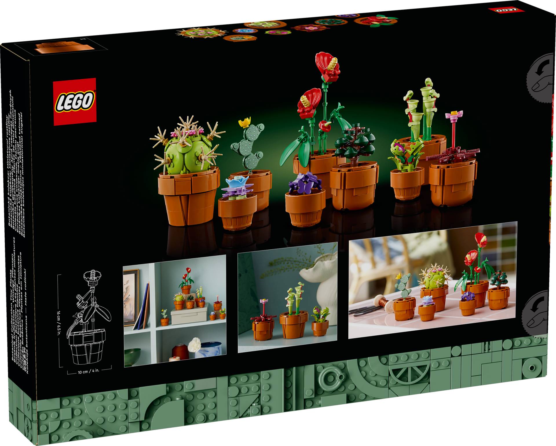 LEGO 10329 - obrazek 2