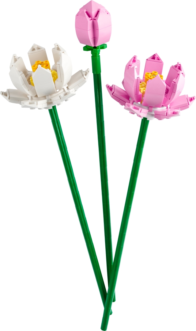 LEGO 40647 - obrazek 3