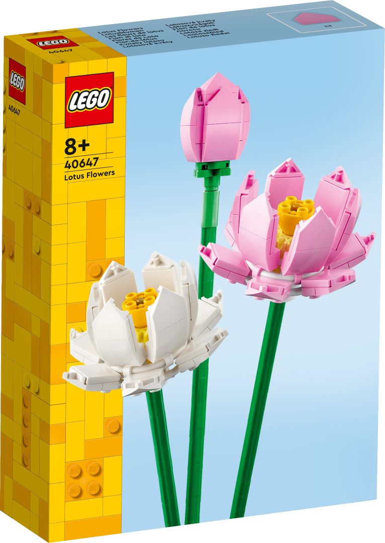LEGO 40647