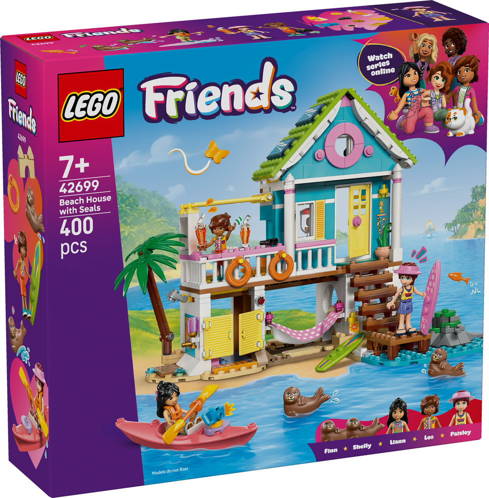 LEGO 42699